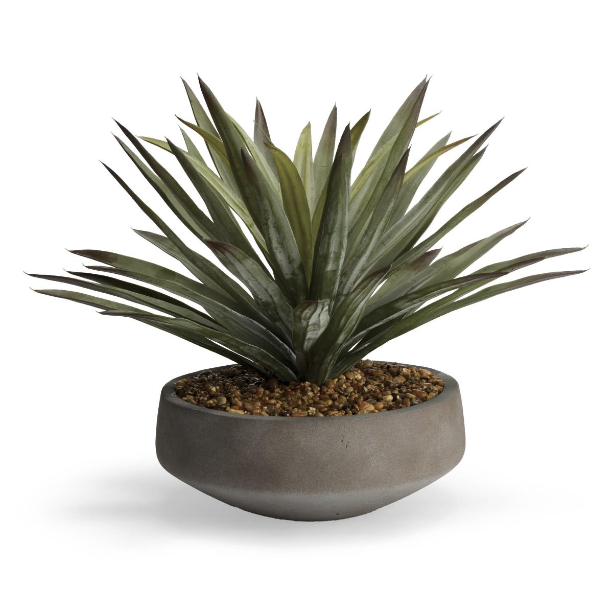 Agave in Newport Bowl