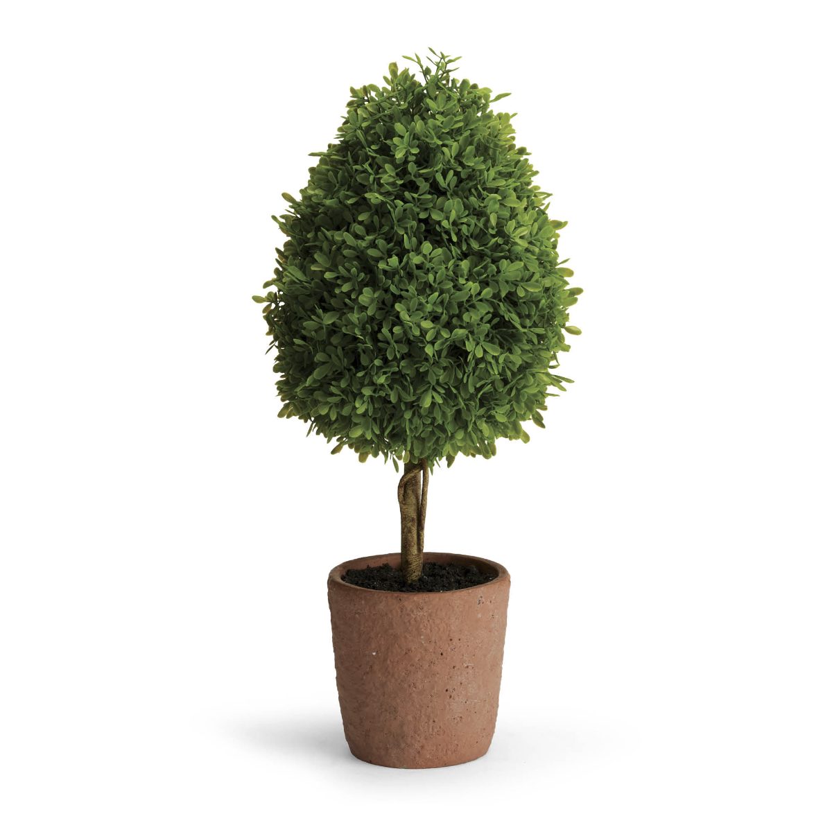 Boxwood Tabletop Cone Topiaries, Set of Two - Image 3