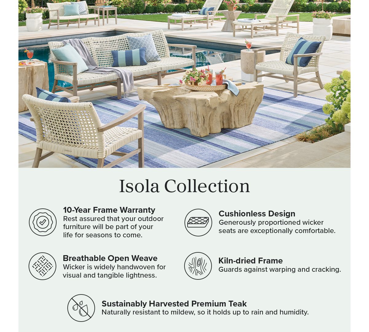 Alternative view of Isola Dining Arm Chair in Natural Teak & Driftwood Wicker