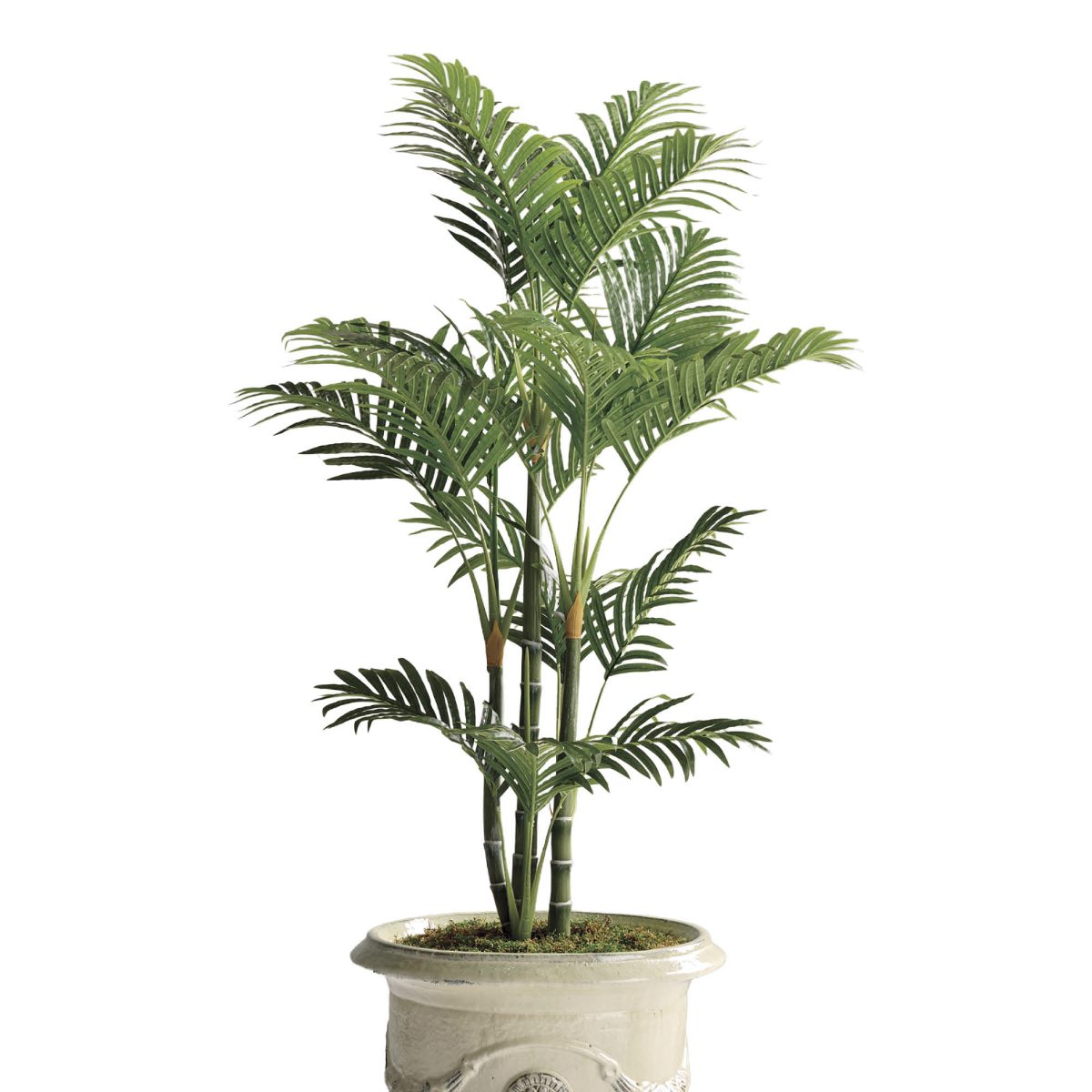 4 ft. Green Trunked Areca Palm