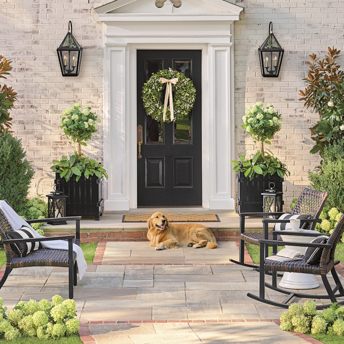 Alternative view of Snowball Hydrangea Topiary