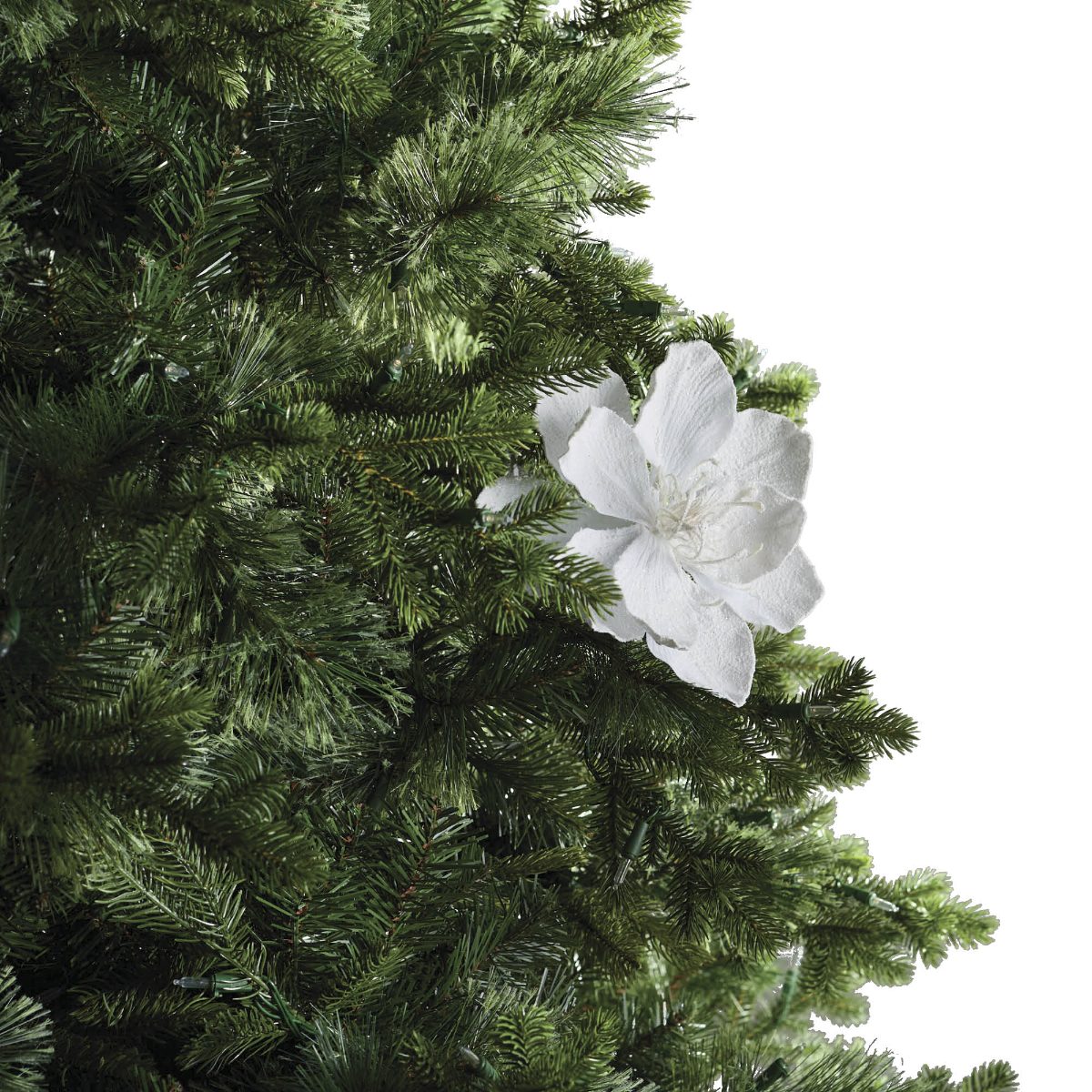 Snowy Magnolia Spray, Set of Six