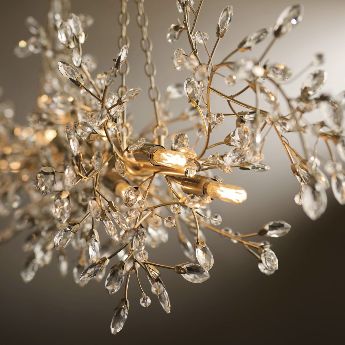 Shayna Chandelier