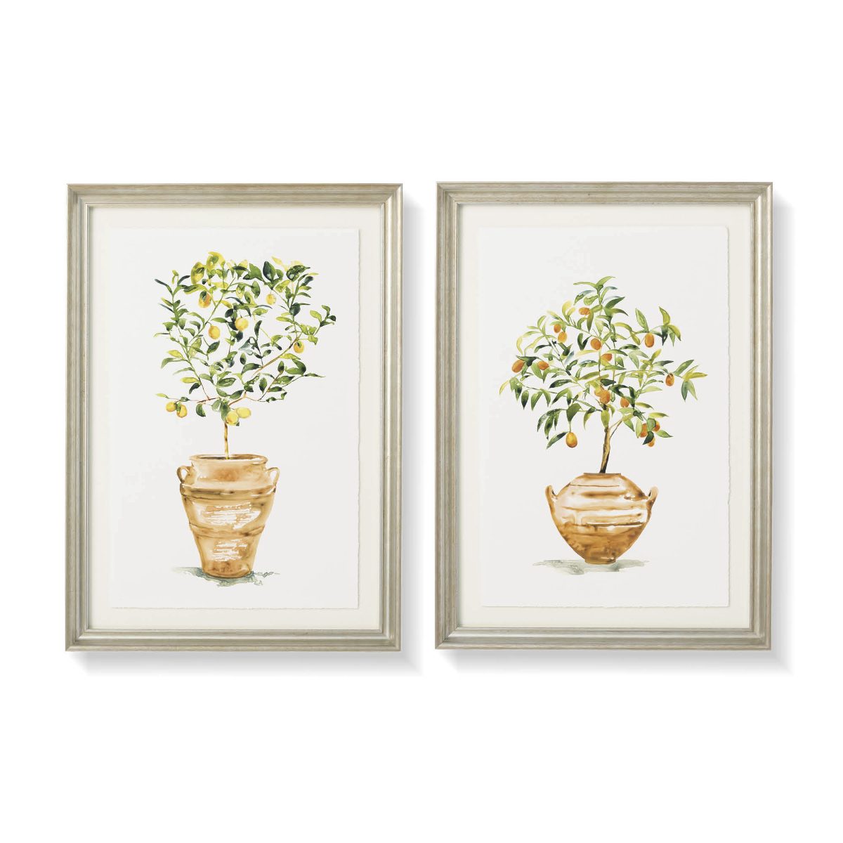 Sicilian Citrus Giclée Prints